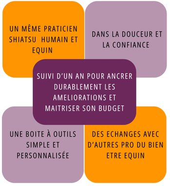 duo shiatsu humain et équine