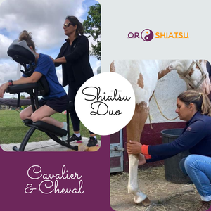 Shiatsu duo Cavalier Cheval - shiatsu équin et humain